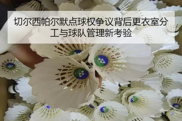 切尔西帕尔默点球权争议背后更衣室分工与球队管理新考验